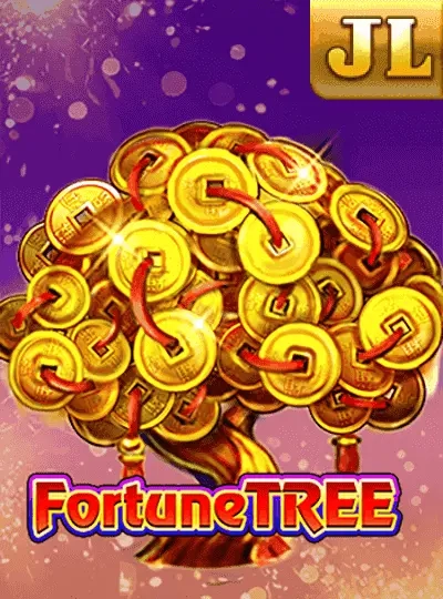 66qq